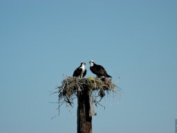 USA_Mexico2006-2007-044